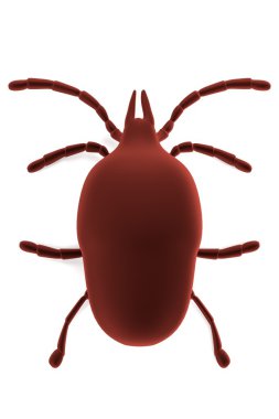 mite gerçekçi 3d render