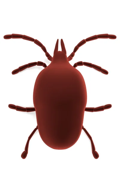 Realistic 3d render of mite — Stock Photo, Image