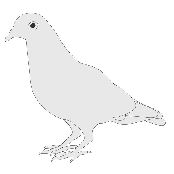 Tecknad bild av duva fågel — Stockfoto