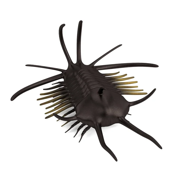 Ρεαλιστική 3d καθιστούν trilobite — Φωτογραφία Αρχείου