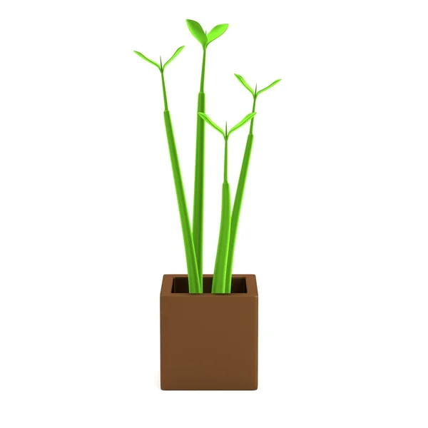 Realistica resa 3d di seme in vaso — Foto Stock