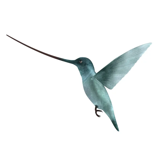 Realistische 3d render van colibri — Stockfoto