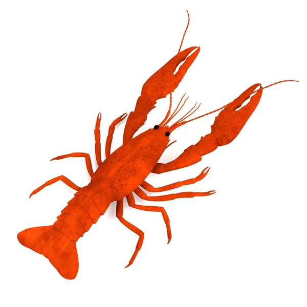 3d render of crustacea-dead crayfish — Stok Foto