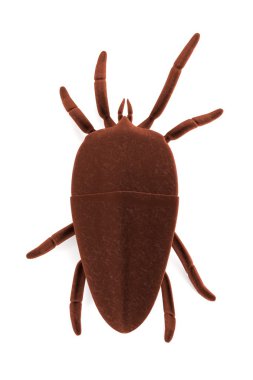 mite gerçekçi 3d render