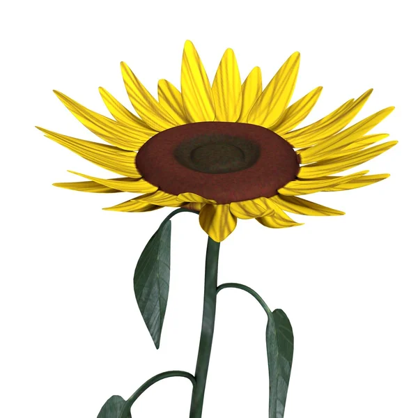 Realistische 3D-Darstellung von Sonnenblumen — Stockfoto