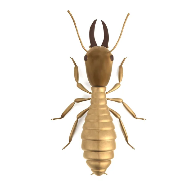 3d rendering di termite soldato — Foto Stock