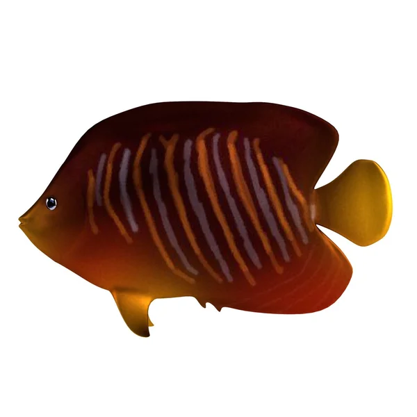 Realistik 3d render ikan tropis — Stok Foto