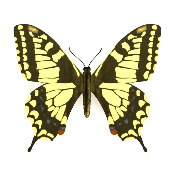 Realistic 3d render of butterfly — Stock Photo, Image