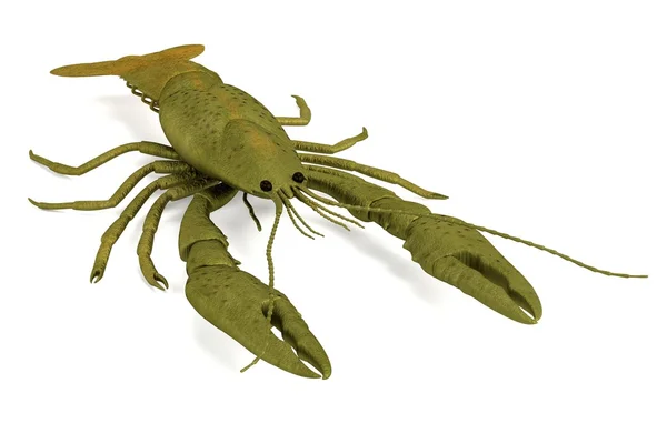 真实的 3d 渲染的甲壳纲动物 — — 小龙虾 — 图库照片