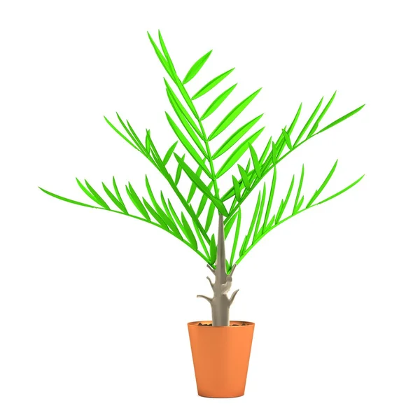 Realistyczne renderowanie 3d palmy — Zdjęcie stockowe