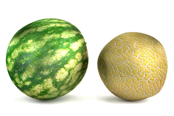 Realistische 3d render van meloen — Stockfoto