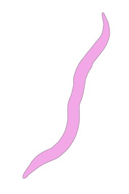 solucan böceğin çizgi film resim