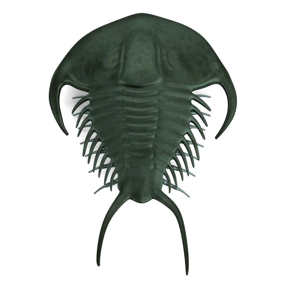 Realistisk 3d render av trilobite — Stockfoto