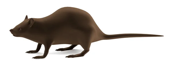 Realistic 3d render of rat — Stock Photo, Image