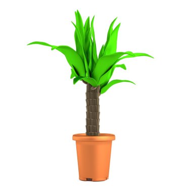 palmiye gerçekçi 3d render