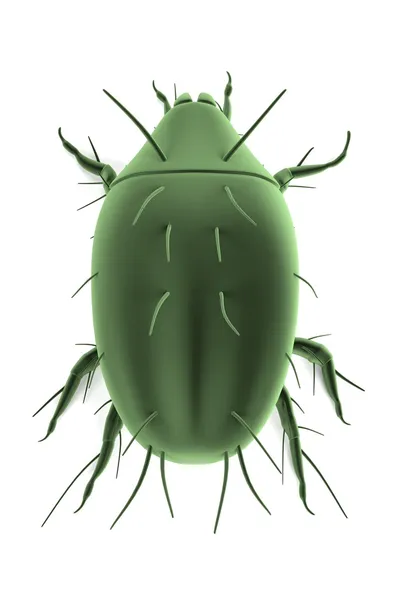 Realistic 3d render of mite — Stock Photo, Image