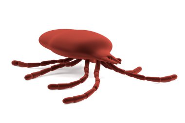 mite gerçekçi 3d render