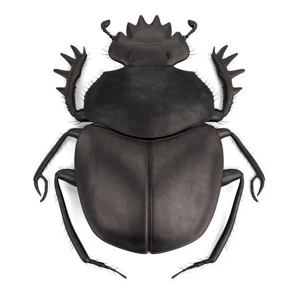 真实的 3d 渲染的 scarabeus — 图库照片