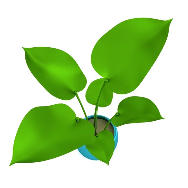 Realistische 3D-Darstellung von Philodendron — Stockfoto