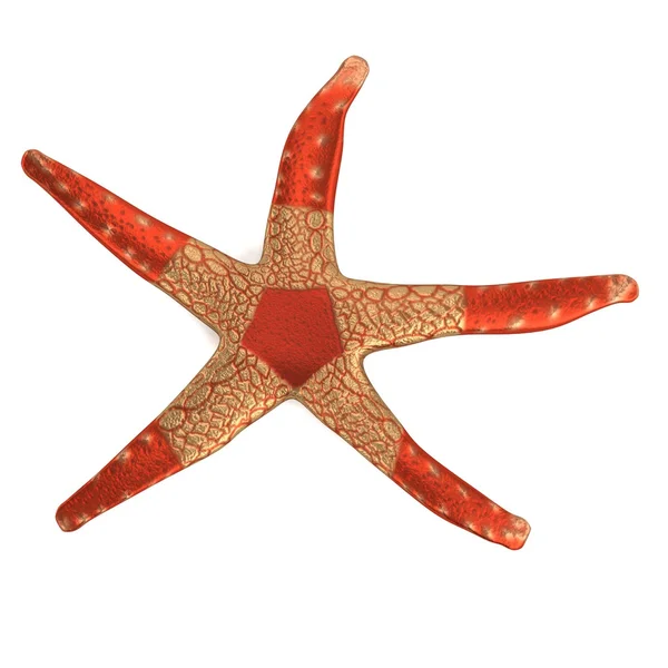 Трехмерный рендер seastar — стоковое фото