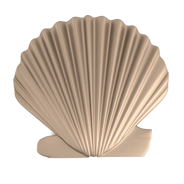 Realistic 3d render of shell — Stock Photo, Image