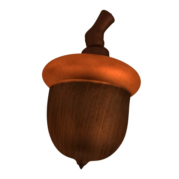 Realistic 3d render of acorn — Stock Photo, Image