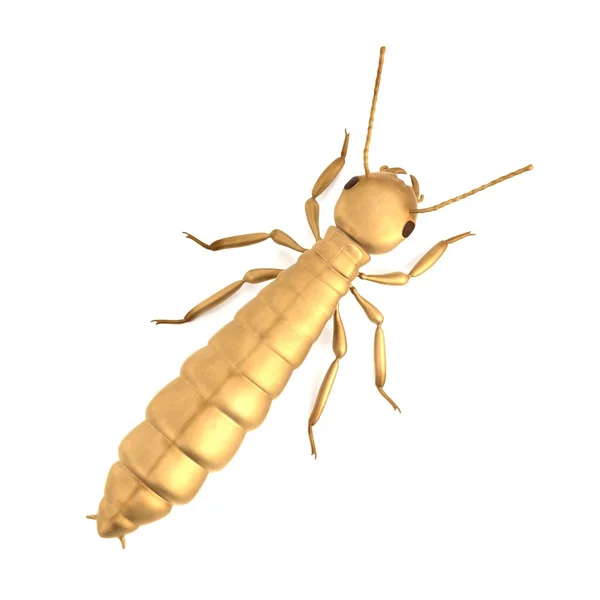 真实的 3d 渲染的白蚁 de 翅 — 图库照片