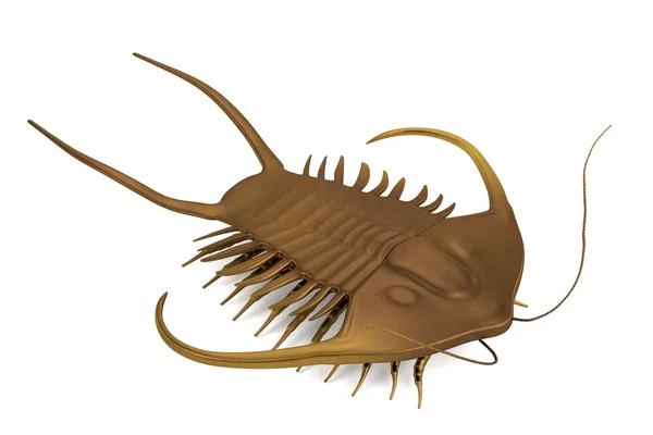 Renderização 3d realista de trilobita — Fotografia de Stock