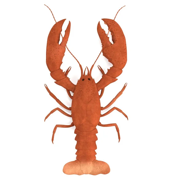 Rendement réaliste en 3D de crustacés - homard — Photo