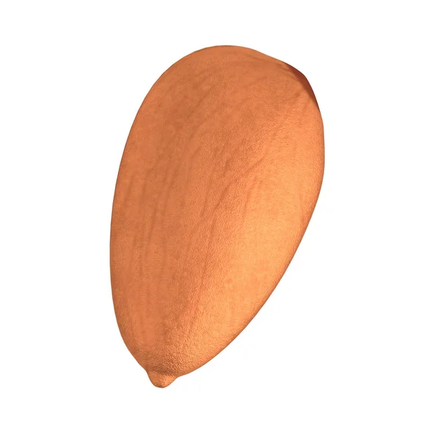 Realistic 3d render of nut - almond — Stock Photo, Image
