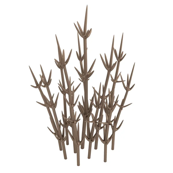真实的 3d 渲染的沙漠植物 — 图库照片