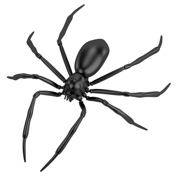 Realistische 3d render voor spider — Stockfoto