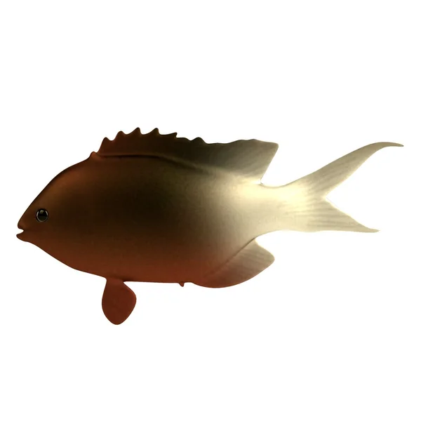 真实的 3d 渲染的热带鱼 — 图库照片