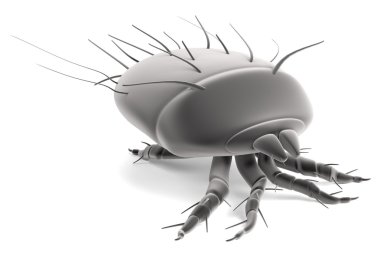 Realistic 3d render of mite clipart