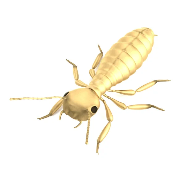 真实的 3d 渲染的白蚁若虫 — 图库照片