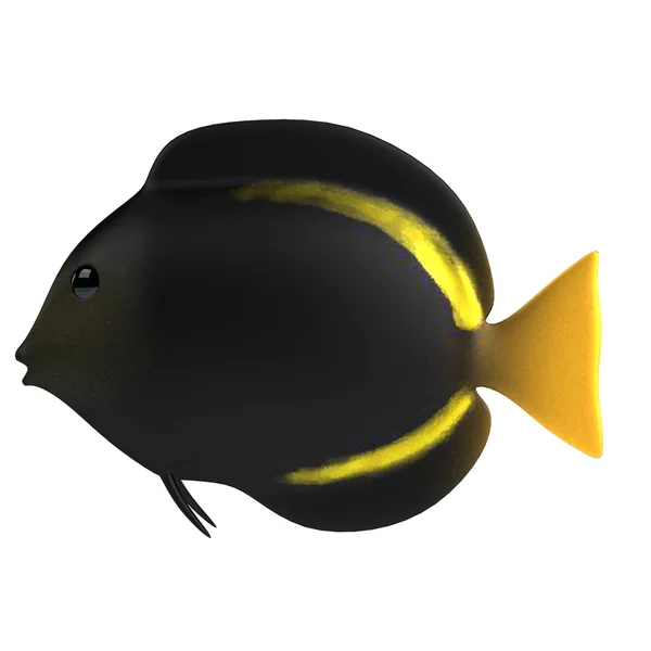 Realistyczne renderowanie 3d ryb tropikalnych — Zdjęcie stockowe