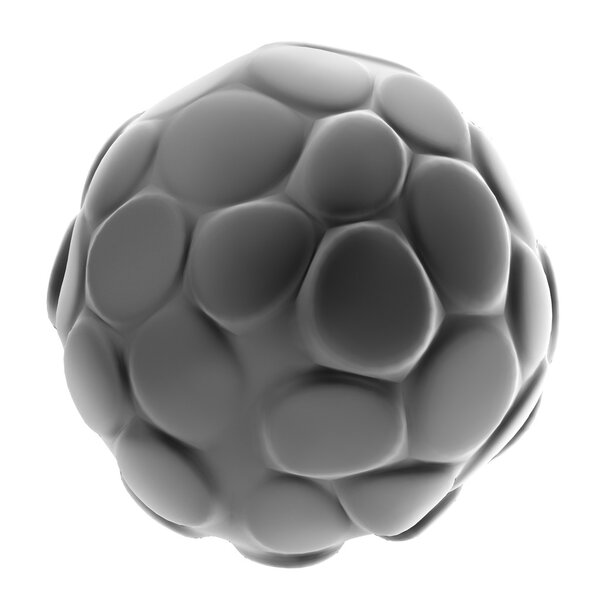 Realistic 3d render of morula