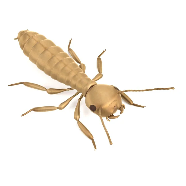 Realistic 3d render of termite alate — Stock Photo, Image