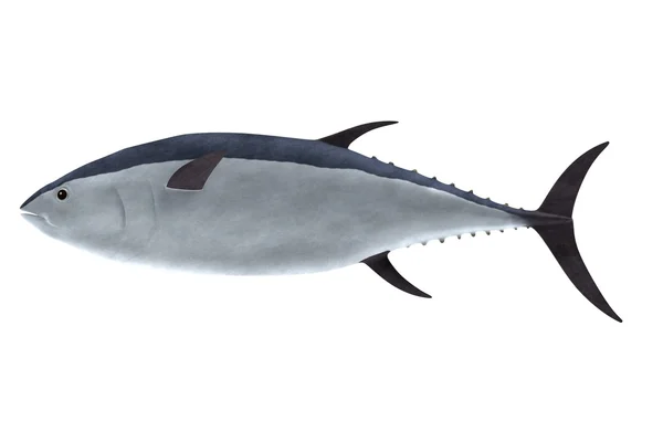 Realistyczne renderowanie 3d tuńczyka — Zdjęcie stockowe