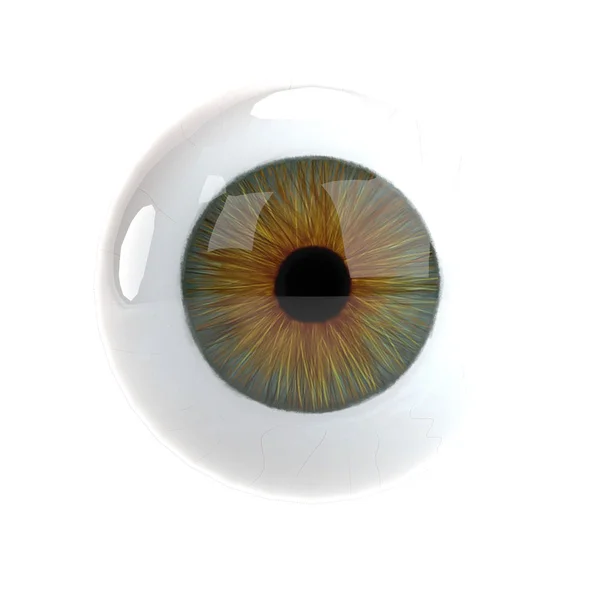 Realistic 3d render of eye — Stock Photo, Image