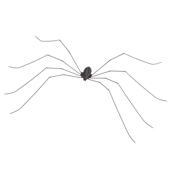 Realistisk 3d render av spider — Stockfoto