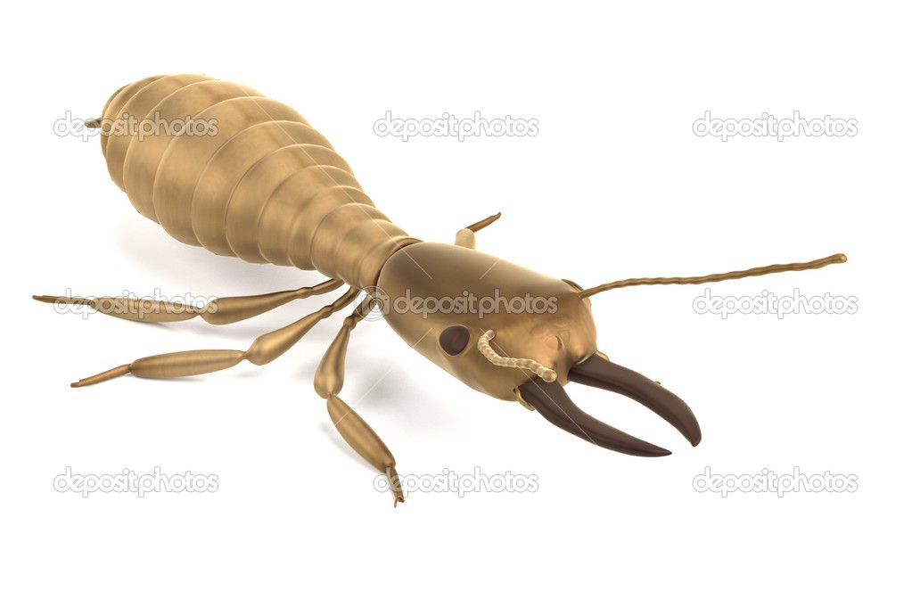 Realistic 3d render of termite soldier