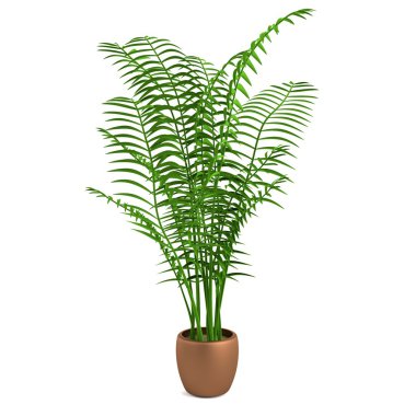 bitki gerçekçi 3d render