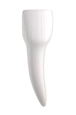 insan dişi gerçekçi 3d render