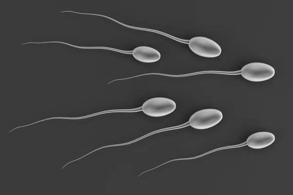 Realistic 3d render of sperms — Stock Photo, Image