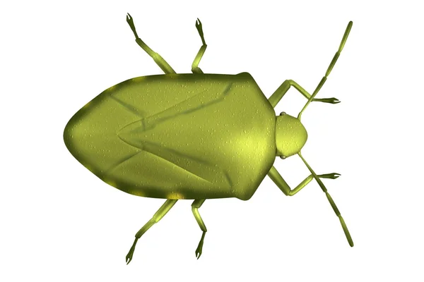 Refleic 3d render of spink bug — стоковое фото