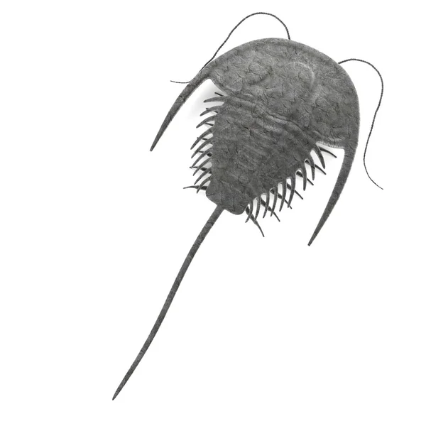 Ρεαλιστική 3d καθιστούν trilobite — Φωτογραφία Αρχείου