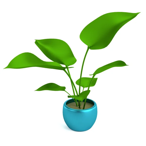 Realistic 3d render of philodendron — Stock Photo, Image