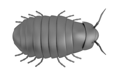 pillbug gerçekçi 3d render