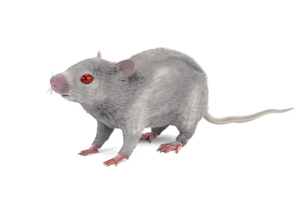 Rendering realistico 3D del mouse — Foto Stock